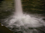 IMGP7469.jpg