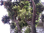 IMGP7554.jpg