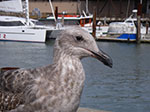 IMGP7608.jpg