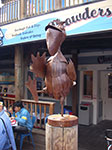 IMGP7646.jpg