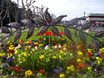 IMGP7653.jpg