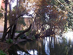 IMGP7691.jpg