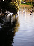 IMGP7693.jpg