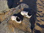 IMGP7736.jpg