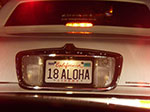 IMGP7825.jpg