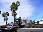 IMGP7841.jpg