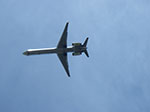 IMGP7847.jpg
