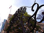 IMGP7853.jpg