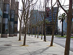 IMGP7861.jpg