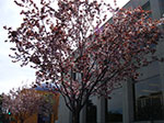 IMGP7869.jpg