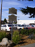 IMGP7900.jpg