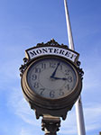 IMGP7901.jpg