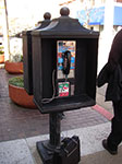 IMGP7905.jpg