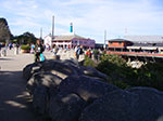 IMGP7919.jpg