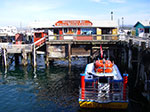 IMGP7933.jpg