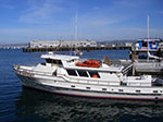 IMGP7937.jpg