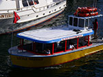 IMGP7952.jpg