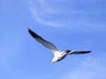 IMGP7956.jpg