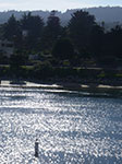 IMGP7966.jpg