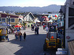 IMGP7968.jpg