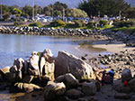 IMGP7972.jpg
