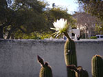 IMGP7973.jpg