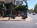 IMGP8346.jpg