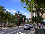 IMGP8348.jpg