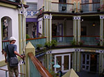 IMGP8413.jpg