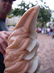 IMGP8421.jpg