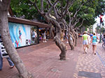 IMGP8441.jpg