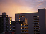 IMGP8448.jpg