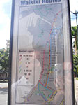 IMGP8462.jpg