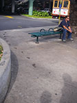 IMGP8464.jpg