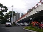 IMGP8465.jpg
