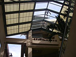 IMGP8475.jpg