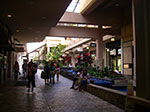 IMGP8476.jpg