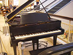 IMGP8482.jpg