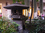 IMGP8486.jpg