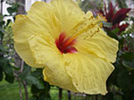 IMGP8530.jpg