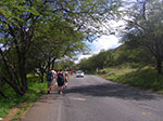 IMGP8534.jpg
