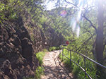 IMGP8542.jpg