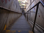 IMGP8684.jpg