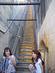 IMGP8695.jpg