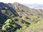 IMGP8704.jpg
