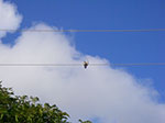 IMGP8711.jpg
