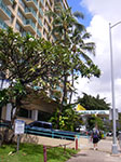 IMGP8745.jpg