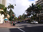 IMGP8758.jpg