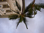 IMGP8838.jpg
