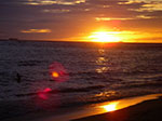 IMGP8863.jpg